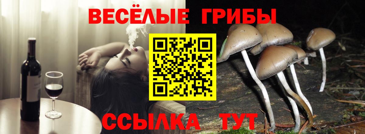 Галлюциногенные грибы GOLDEN TEACHER  закладка  Богданович  Вход с VPN  Галлюциногенные грибы GOLDEN TEACHER 
